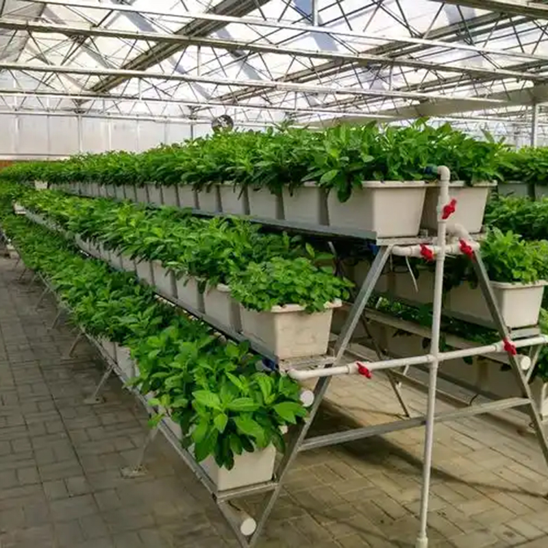 黄山市植物工厂无土栽培 - 推荐