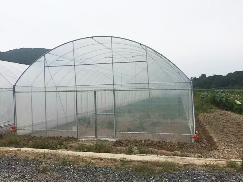 黄山市薄膜大棚无土栽培 - 一站式服务